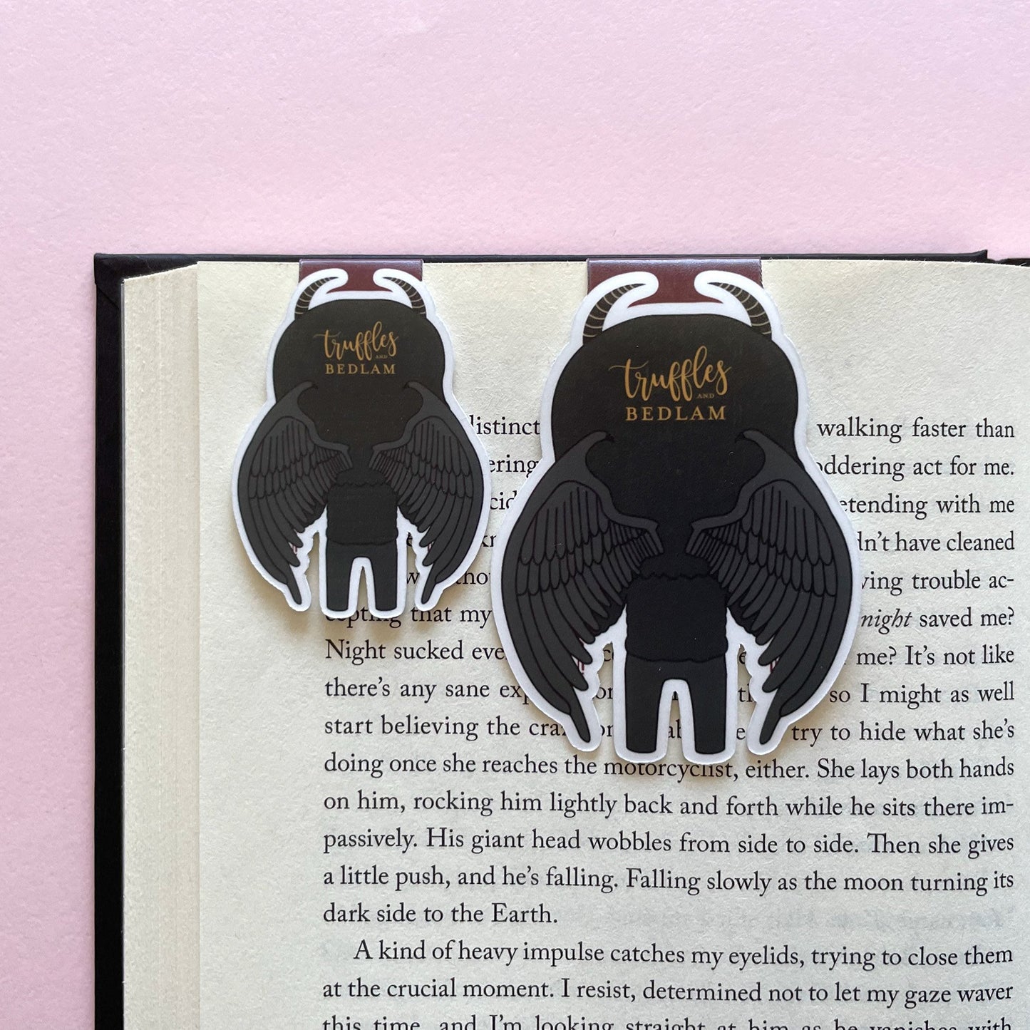 Das magnetische Lesezeichen Black Vulture Malachiasz, inspiriert von etwas Dunklem und Heiligem